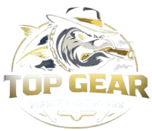 Top Gear Fishing Charters